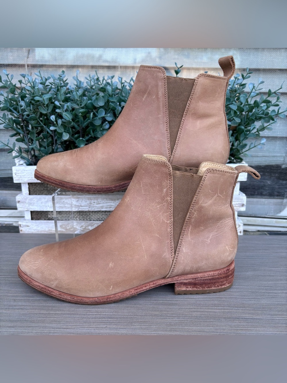 Nisolo Leather Eva Everyday Chelsea Boot in Almond Size 7.5
